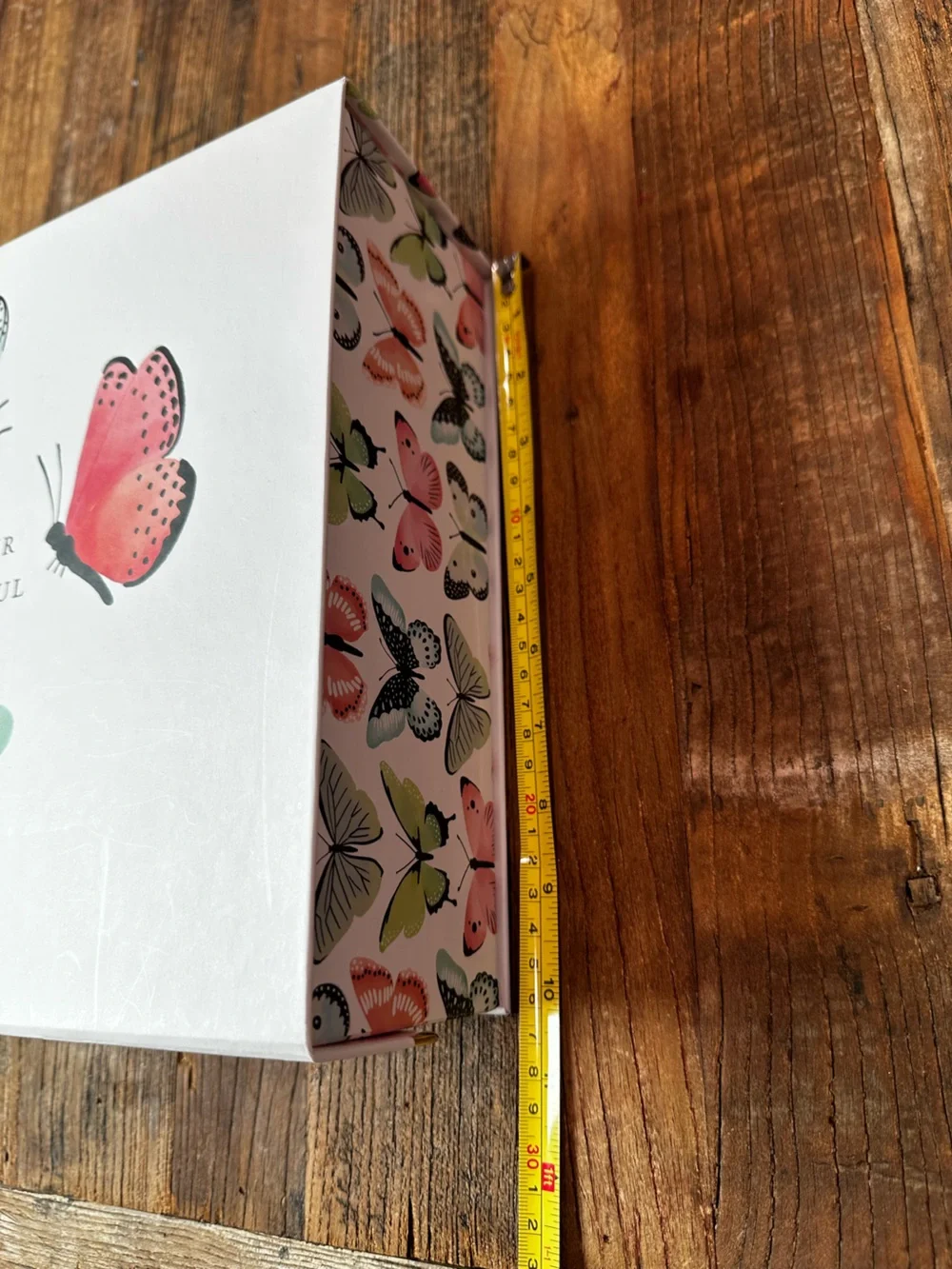 Butterfly Canvas Storage Box Set - Mint Green & Coral